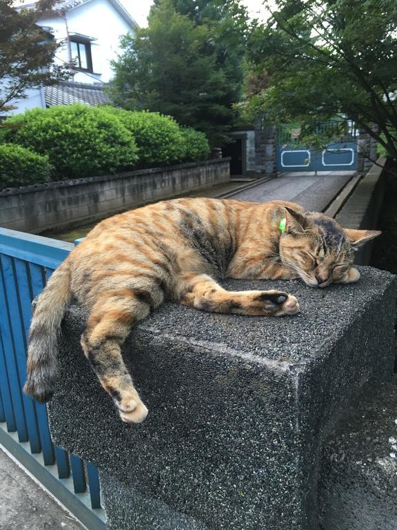 Maison d'hôtes Nest Nippori Tōkyō